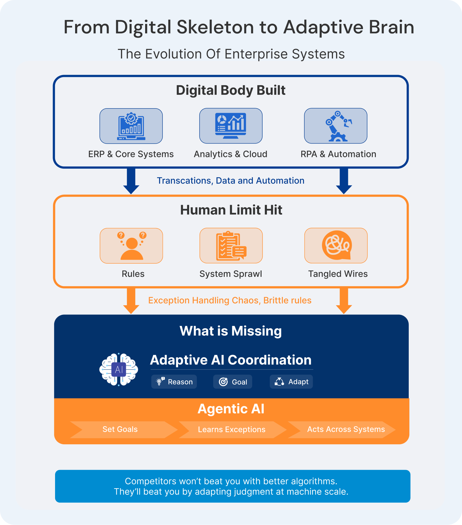Digital Skeleton Diagram